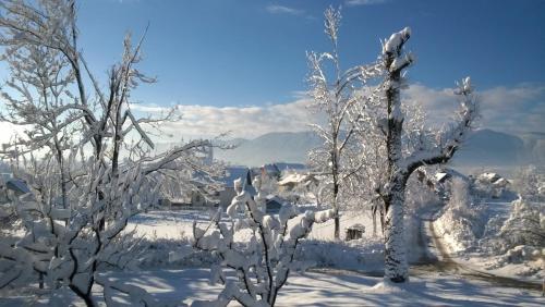 Apartment Knap in Cerknica