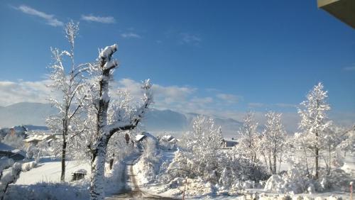 Manzara, Apartment Knap in Cerknica
