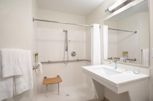 Queen Studio Suite - Mobility Access Roll in Shower/Non-Smoking