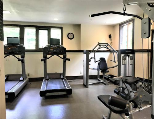 Fitness center, Spacious vacation home near Mt Snow in Wilmington (VT)