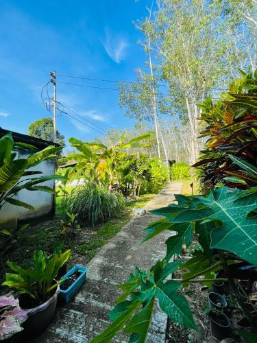 Lok Mun Bungalows