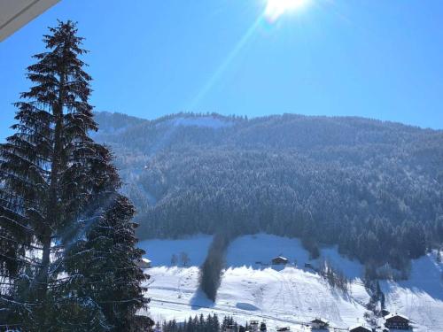 Studio Le Grand-Bornand, 1 pièce, 4 personnes - FR-1-458-166