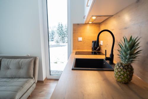 Świerkowy 3 Dolina Szczęścia Apart Invest, Szklarska Poręba (foto 7)