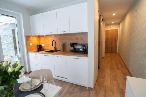 Świerkowy 3 Dolina Szczęścia Apart Invest, Szklarska Poręba (foto 4)