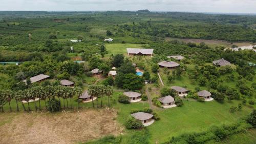 Hanchey Bamboo Resort