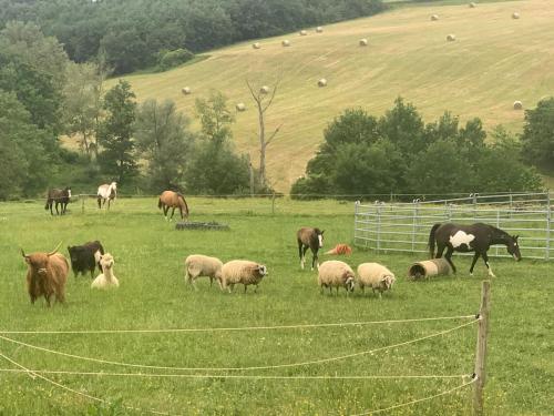 Gite à la ferme avec jacuzzi et piscine chauffée