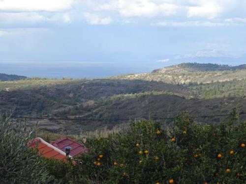 Irene's Apartment In Salakos Irene's Apartment In Salakos