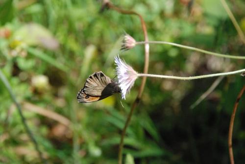Irene's Apartment In Salakos Irene's Apartment In Salakos