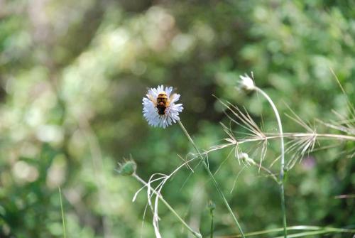 Irene's Apartment In Salakos Irene's Apartment In Salakos