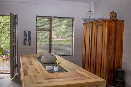 Dragon Tree in Yzerfontein