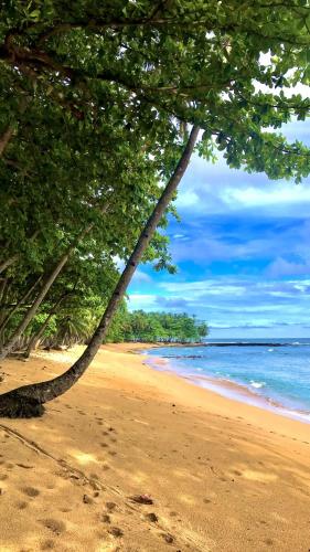 Sao Tome Paradise House Madre Deus in Avenida Água Grande