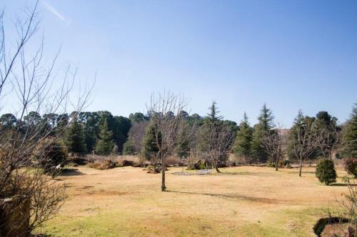 Critchley Common