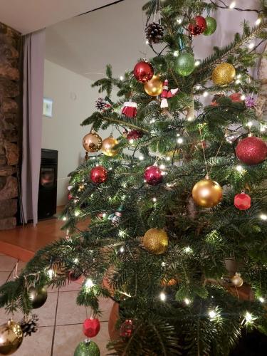  Sun&Sea House in Matulji