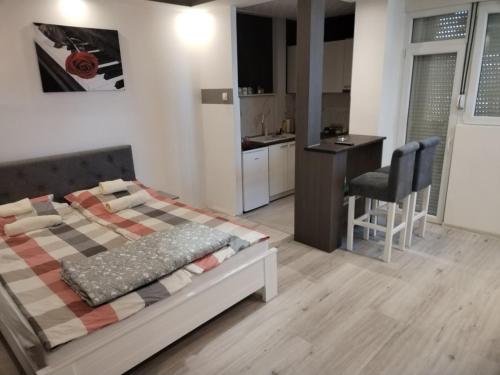 VIN Studio, Kruševac