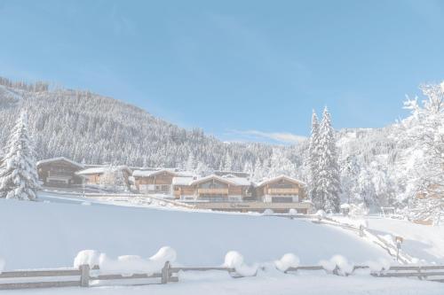 Natursinn Mountainchalets Flachau