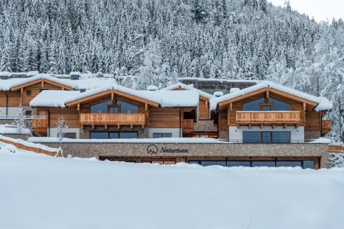 Natursinn Mountainchalets 3