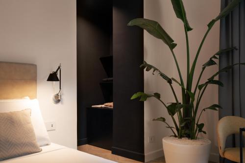 King Suite with Spa Bath image 6