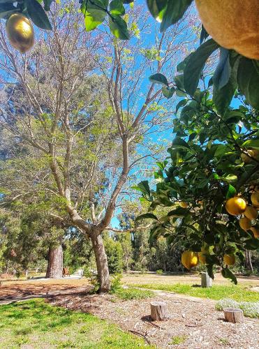 Forest Trails House, Dwellingup