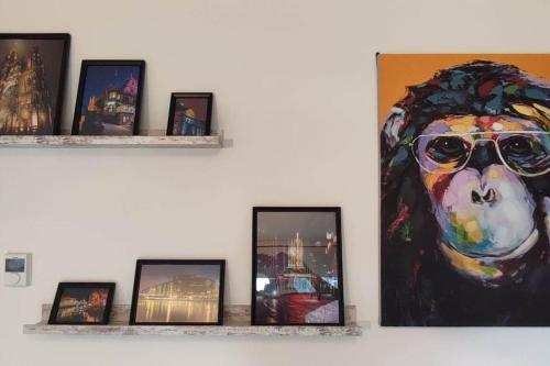 Appartement Le Saver'Zaru, centre ville, T2 55m²