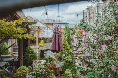 The Brownswood - image 4