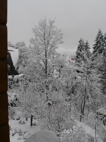 Ferienwohnung im Harz-Haus-Bruns - image 3