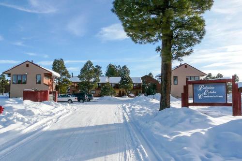 Cozy Pagosa Condo Stunning Mountain and Lake Views! in Pagosa Springs, USA