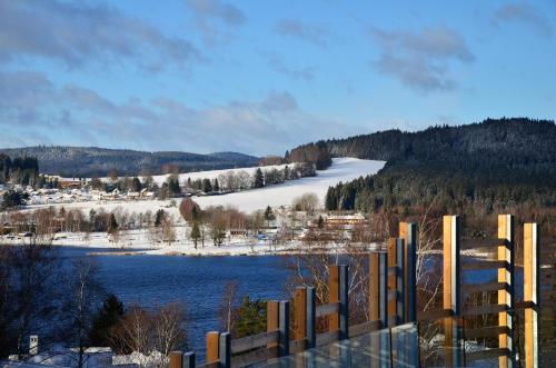 JBX Resort Apartments Lipno