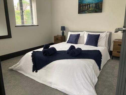 Little Elm - luxury home from home, free parking, 30-40 mins walk from Bath city centre, Bath (photo 2)