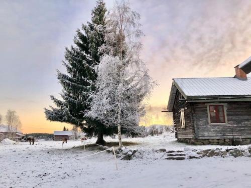 B&B Hassela - Log Cabin from 1820s with wood-heated sauna - Bed and Breakfast Hassela