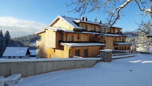 Vista exterior, Apartment Iva in Cerny Dul