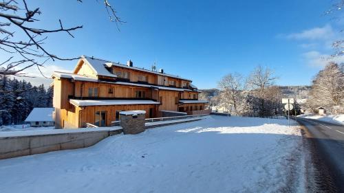 Vista exterior, Apartment Iva in Cerny Dul