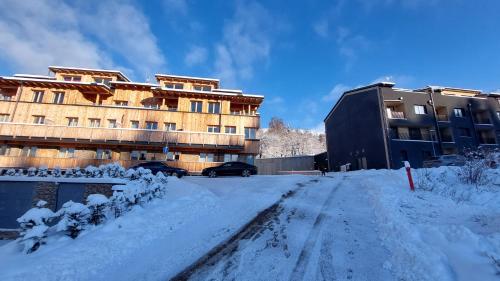 Vista exterior, Apartment Iva in Cerny Dul