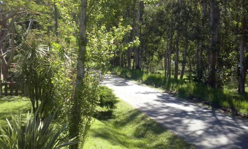 Заобикаляща среда, Esquina Verde in Bella Vista