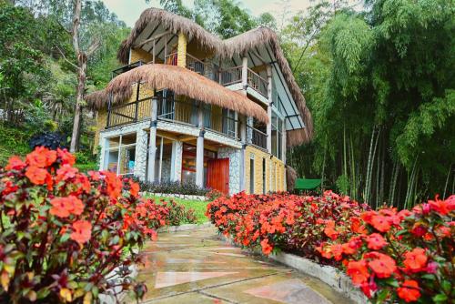 Bambu chalet