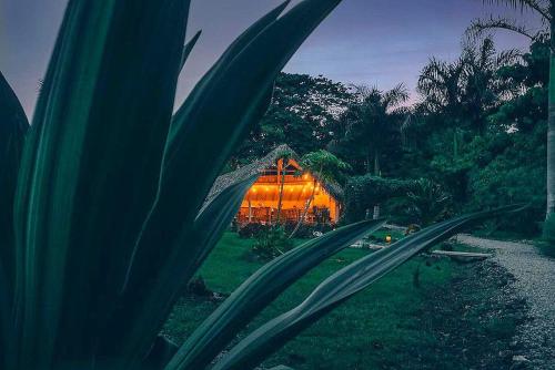 Samana Ecolodge Samana Ecolodge