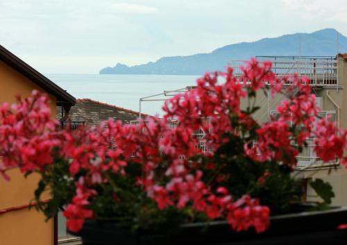  B&B A 2 Passi dal Mar, Pension in Cavi di Lavagna