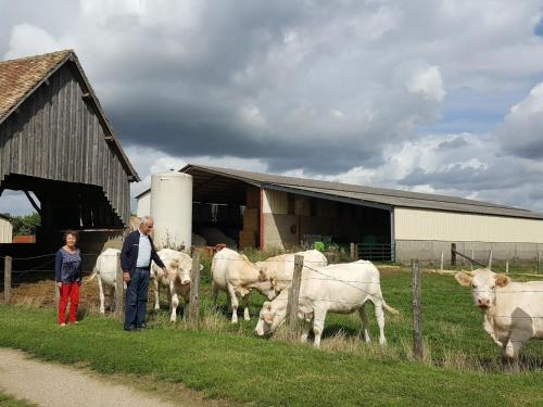 Gîte Marolles-les-Braults, 4 pièces, 7 personnes - FR-1-410-136