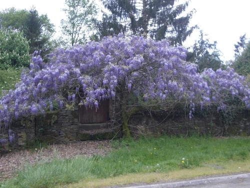 Gîte Rouez, 5 pièces, 8 personnes - FR-1-410-168