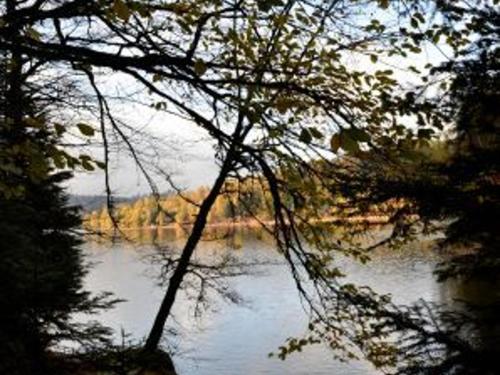 Charmant Gîte Vosgien avec Terrasse, Randonnées et Lacs, Proche Alsace et Col du Donon - FR-1-584-54