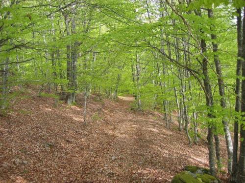 Gîte Thoras, 5 pièces, 8 personnes - FR-1-582-301 (Gite spacieux et renove avec equipements modernes, terrasse et vaste jardin pres de Gevaudan et Marg) in Laguiole