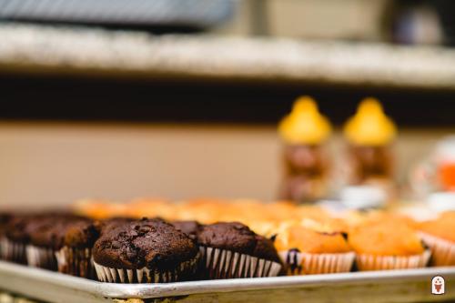 Coyote South - image 6