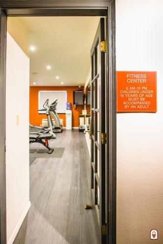 Coyote South - image 11