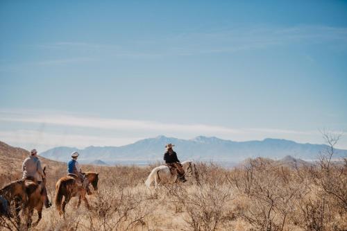 Tombstone Monument Guest Ranch