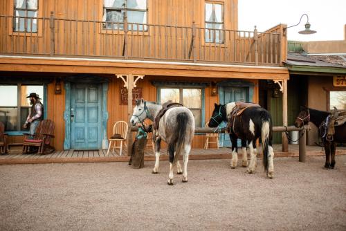 Tombstone Monument Guest Ranch - image 3
