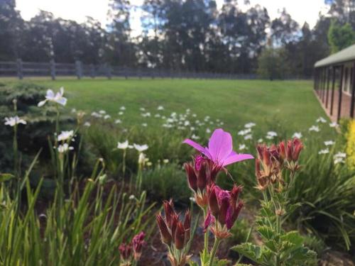 Breemiloy Homestead Hunter Valley - Farm stay.