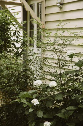 Romantic Cottage, Tamborine Mountain