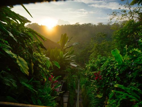 Nandini Jungle by Hanging Gardens