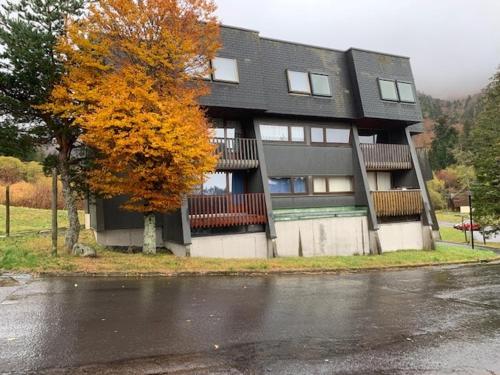 Appartement Mont-Dore, 3 pièces, 6 personnes - FR-1-415-100 Le Mont Dore