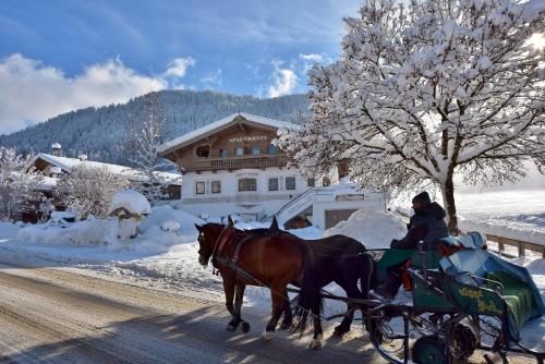 Tennladen Apartments Wildschönau-Niederau