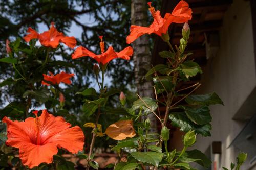 Hotel Recanto da Cachoeira